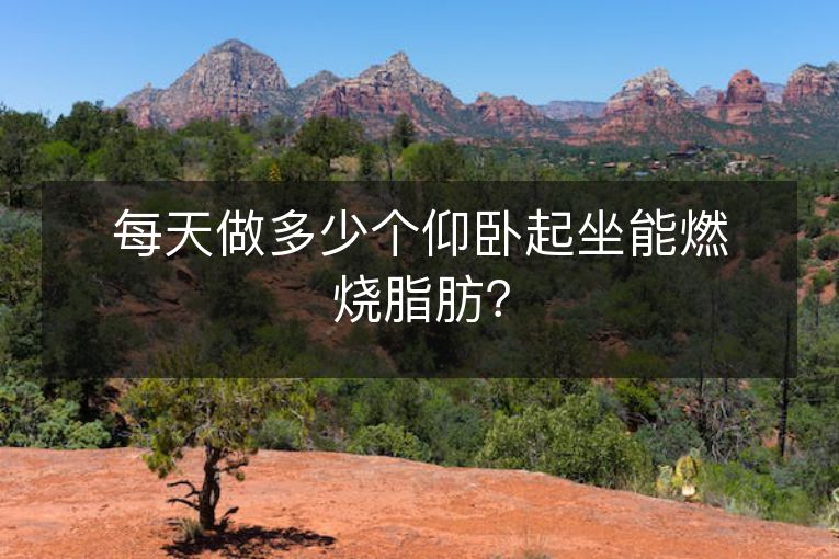 每天做多少个仰卧起坐能燃烧脂肪? 每天做多少个仰卧起坐能燃烧脂肪?